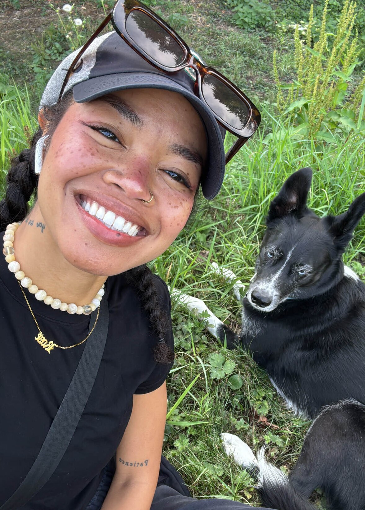 3ca60c58 ad36 4355 b21e 4a985f12e9e6