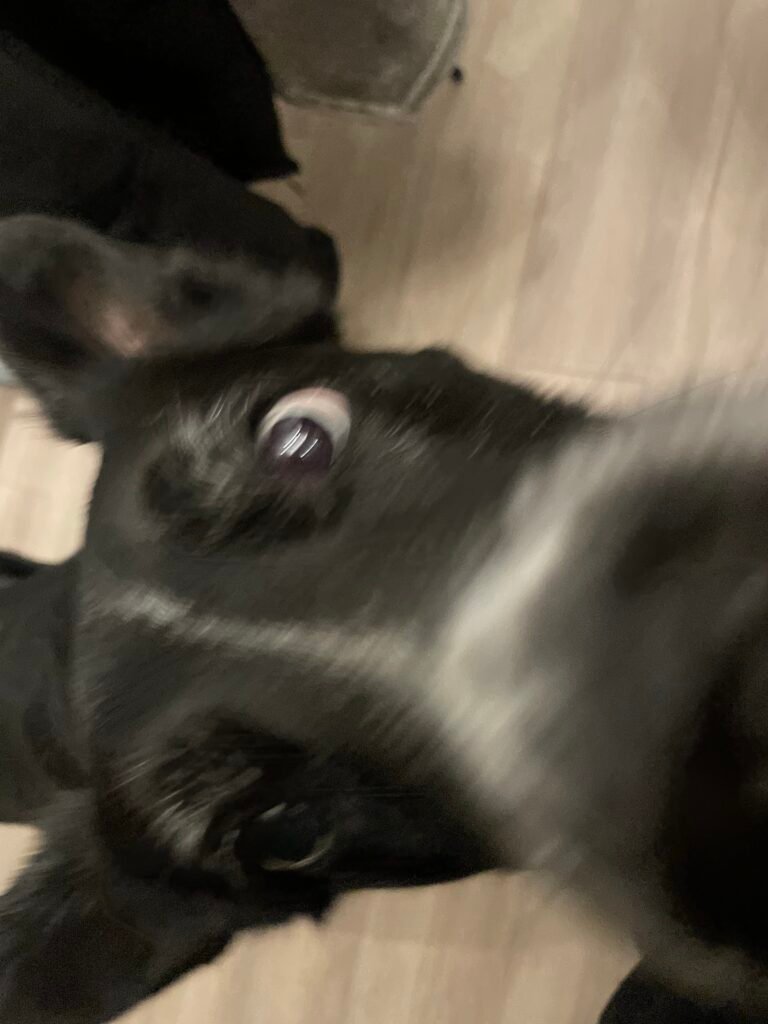 75843847976 e203a57a 9071 4af4 80db bec4ba1498a9