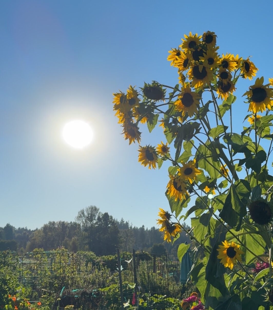 cjqkmfnuyxbjagf0lzezljyxljaundygkglqag9uzte2lde7iglpuyayni4woybnemlwksac